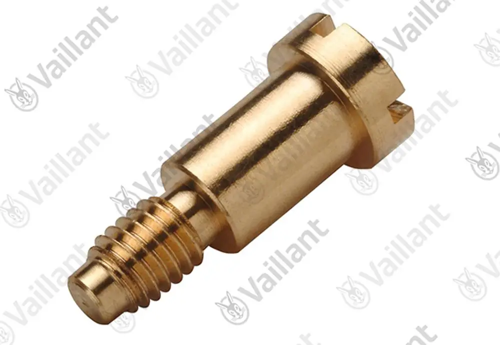 Schraube in Messingfarbe, mit einem Gewinde auf der einen Seite und einer flachen, geschlitzten Oberfläche auf der anderen Seite. Produkt von Vaillant.